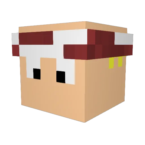 Shockz Minecraft avatar head, 3D render