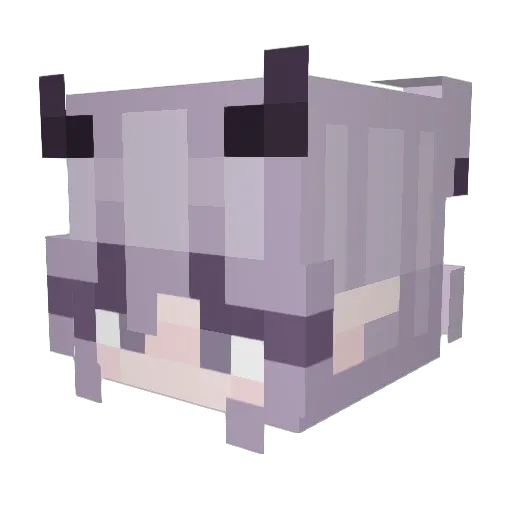 Shodoshima Minecraft avatar head, 3D render