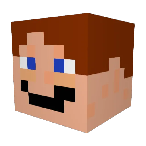 Shodow_Jens Minecraft avatar head, 3D render