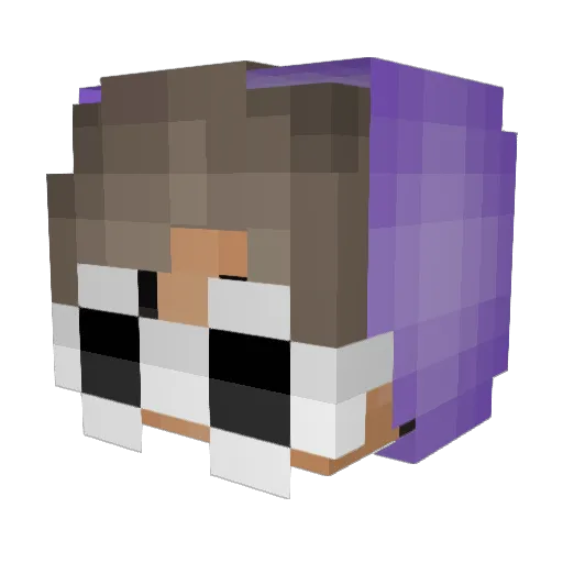 ShoeLais Minecraft avatar head, 3D render