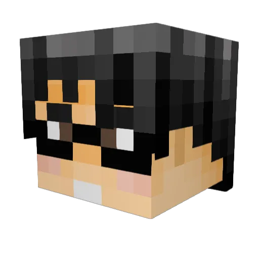 Shoebill Minecraft avatar head, 3D render