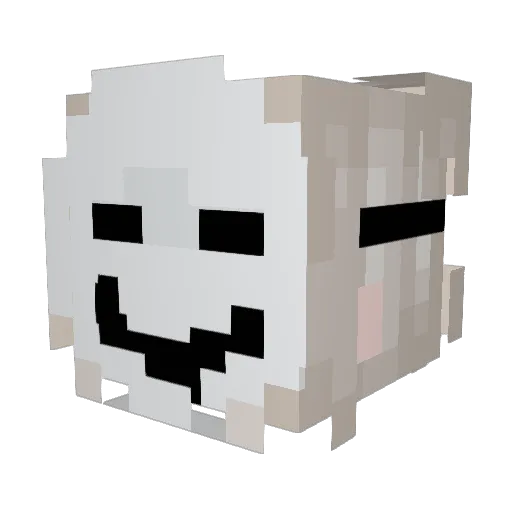 Shoehead2b2t Minecraft avatar head, 3D render