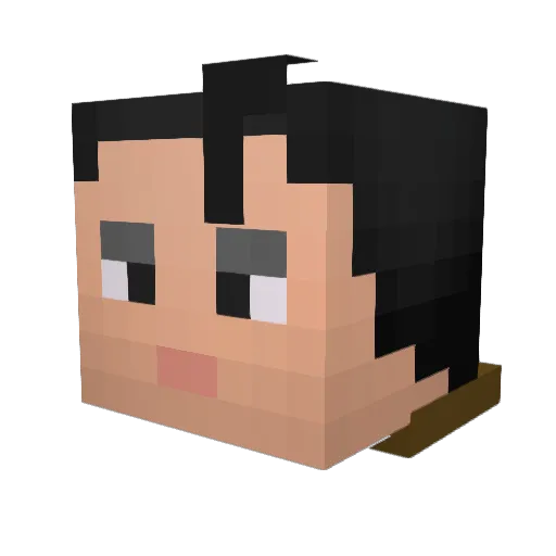Shoei_Ender Minecraft avatar head, 3D render