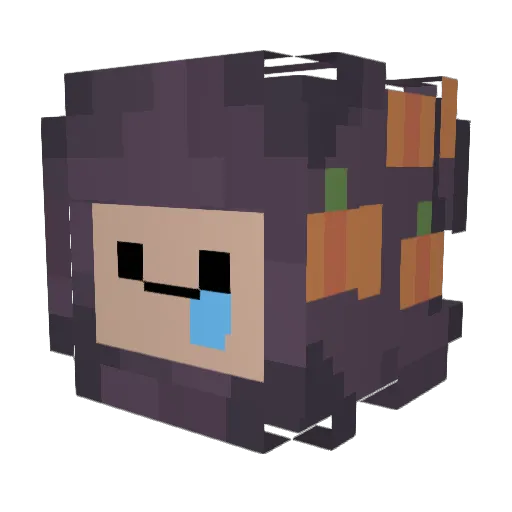 Shoeshiner84 Minecraft avatar head, 3D render
