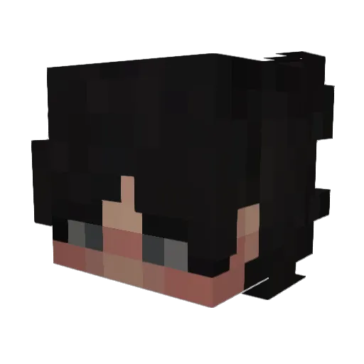 Shoffli Minecraft avatar head, 3D render