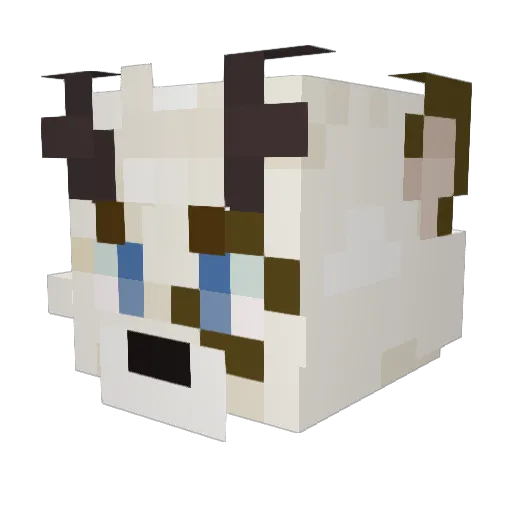 Shogun1342 Minecraft avatar head, 3D render