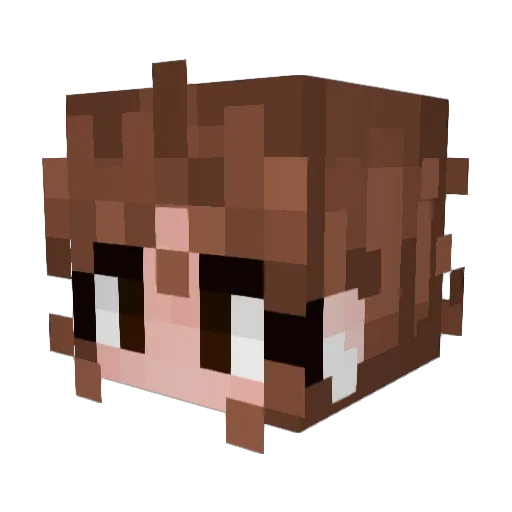 Shogun3523 Minecraft avatar head, 3D render