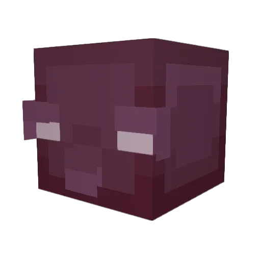 Shoj1n_ Minecraft avatar head, 3D render