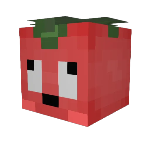 Shomatodao Minecraft avatar head, 3D render