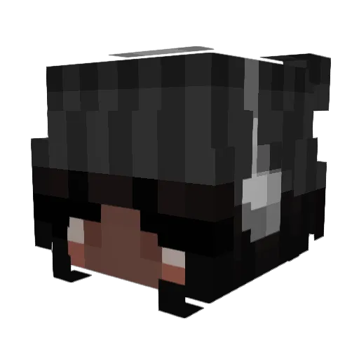 Shomonski Minecraft avatar head, 3D render