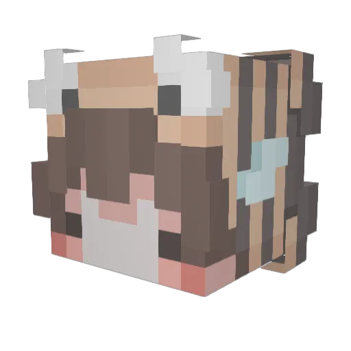 ShompiFlen Minecraft avatar head, 3D render