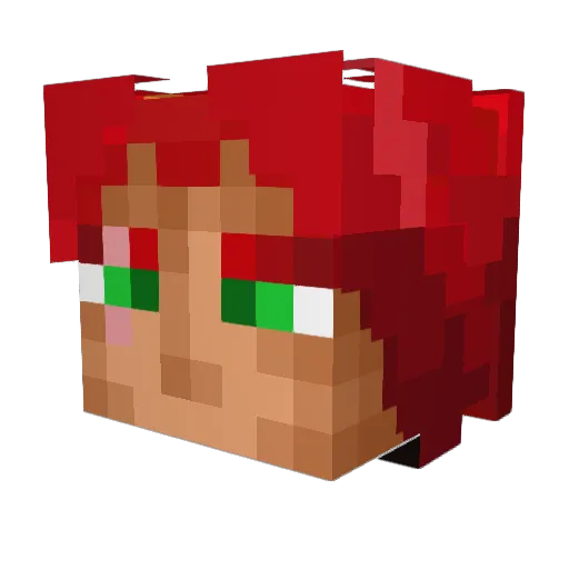 ShonB704 Minecraft avatar head, 3D render