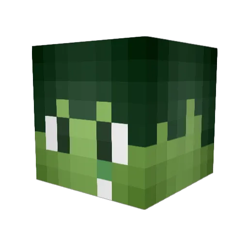 Shona12 Minecraft avatar head, 3D render