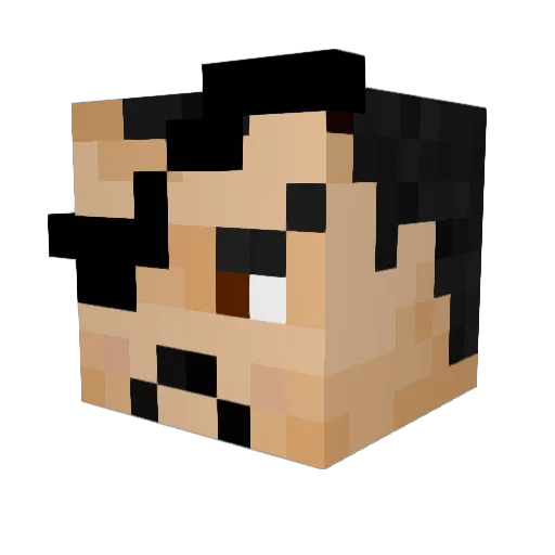 Shonin__ Minecraft avatar head, 3D render