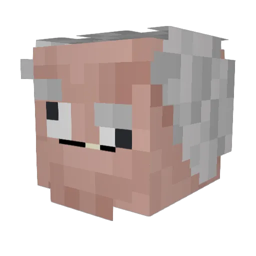 Shonk13 Minecraft avatar head, 3D render