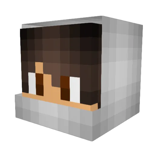 Shonny69_420 Minecraft avatar head, 3D render