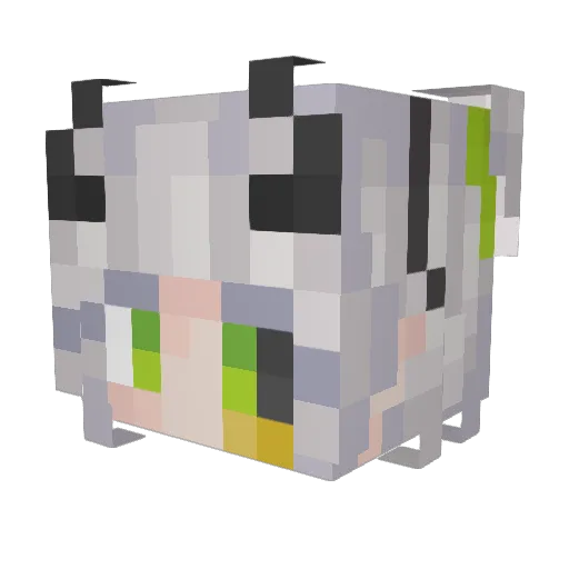 Shoodiny Minecraft avatar head, 3D render