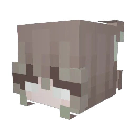 Shootee4ka Minecraft avatar head, 3D render