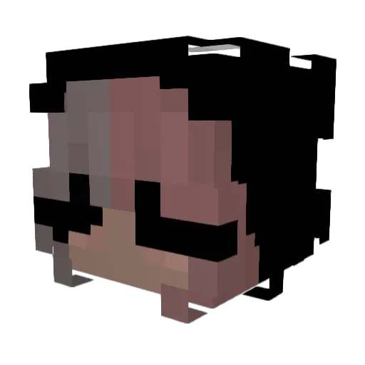 Shooterc Minecraft avatar head, 3D render
