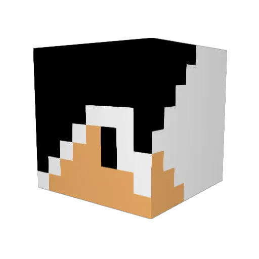 ShopForeman Minecraft avatar head, 3D render