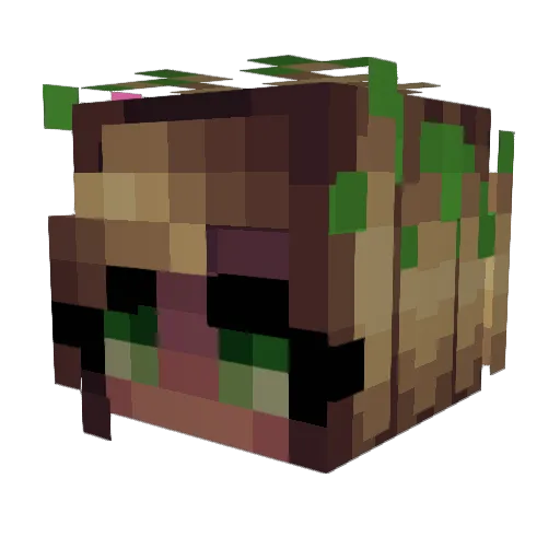 ShopGirl4279 Minecraft avatar head, 3D render
