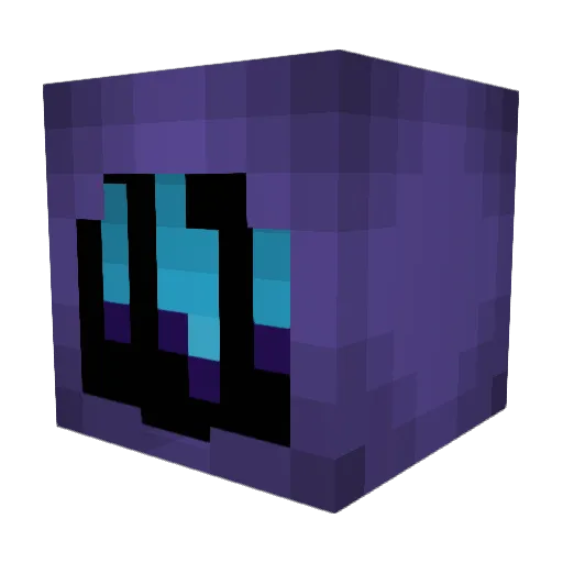ShopReviewer Minecraft avatar head, 3D render