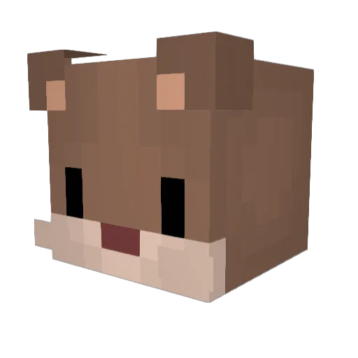 Shop_Hamster Minecraft avatar head, 3D render