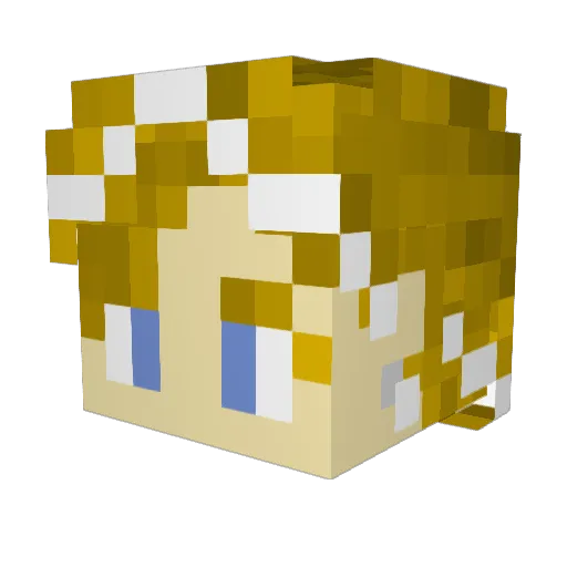 ShoppingDuck Minecraft avatar head, 3D render