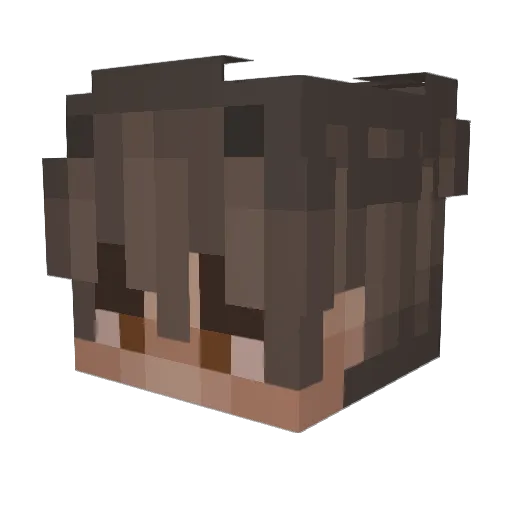 Shoqdxw Minecraft avatar head, 3D render