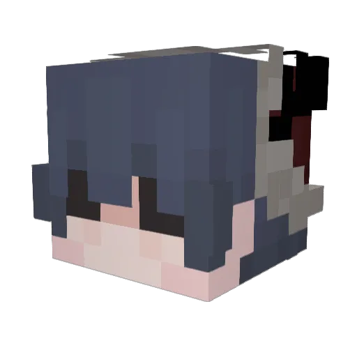Shoqppy Minecraft avatar head, 3D render