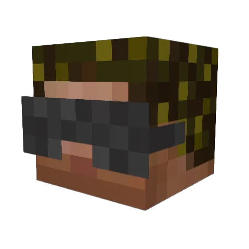 ShortGo Minecraft avatar head, 3D render