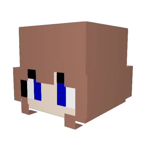 ShortTripp9 Minecraft avatar head, 3D render
