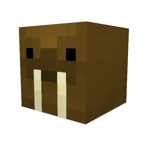 Shortbus_King Minecraft avatar head, 3D render