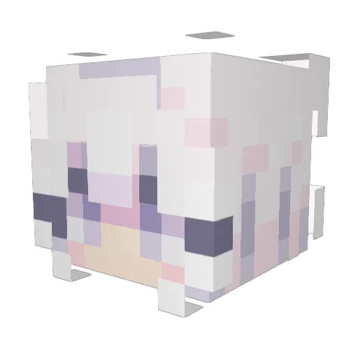 ShortieLeo Minecraft avatar head, 3D render