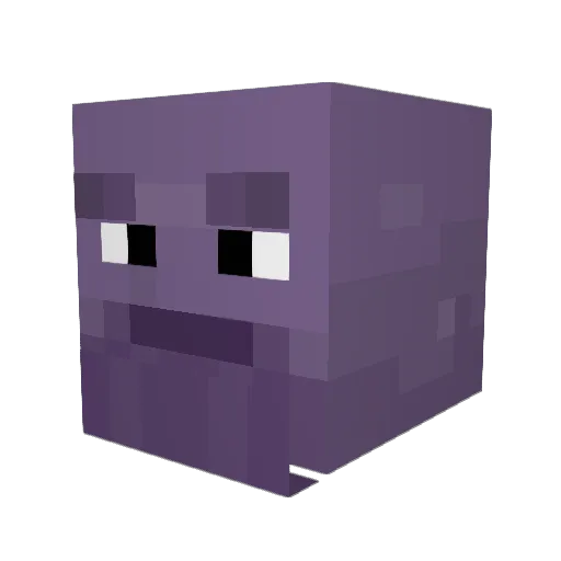 Shortolani Minecraft avatar head, 3D render