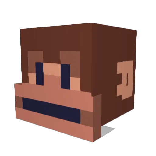 ShortstoPorkchop Minecraft avatar head, 3D render