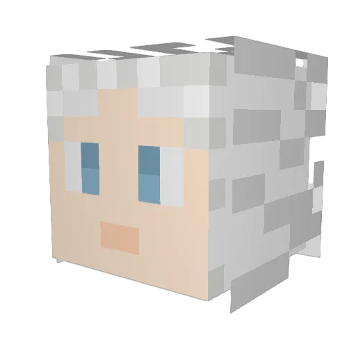 Shoryu137 Minecraft avatar head, 3D render