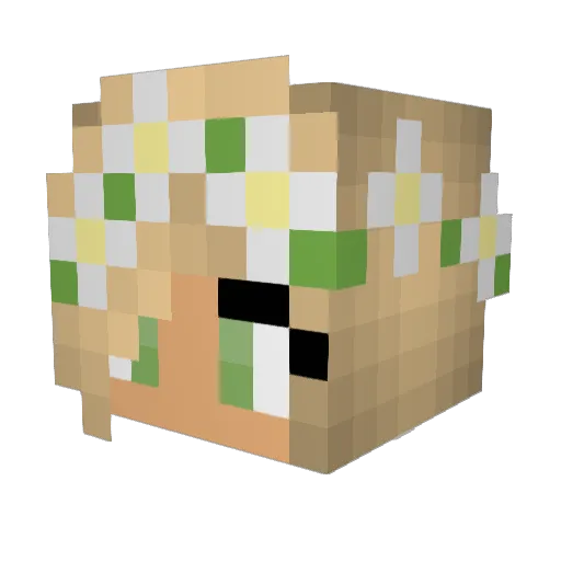 Shoshannaxo Minecraft avatar head, 3D render