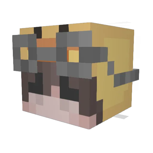 ShotGun94 Minecraft avatar head, 3D render
