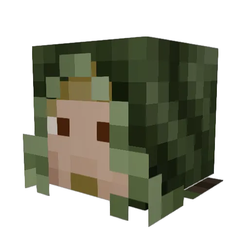 Shoto3333 Minecraft avatar head, 3D render
