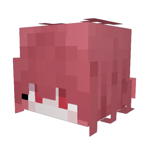 Shou49 Minecraft avatar head, 3D render