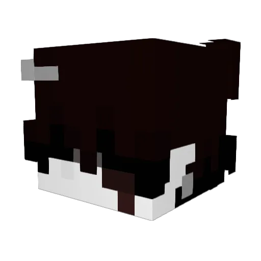 Shouko999 Minecraft avatar head, 3D render