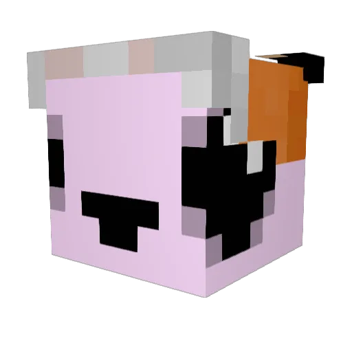 Shouldice Minecraft avatar head, 3D render
