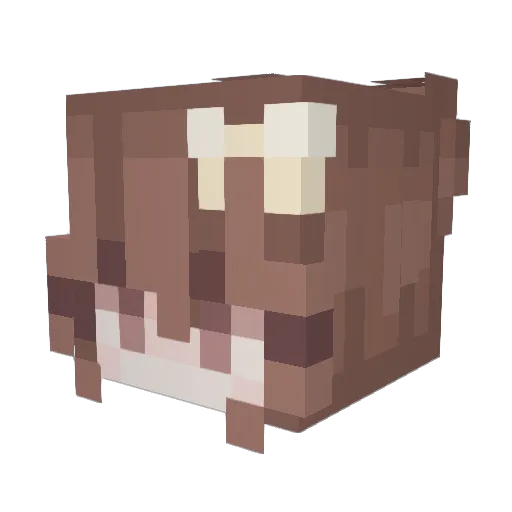 Shouzuh Minecraft avatar head, 3D render