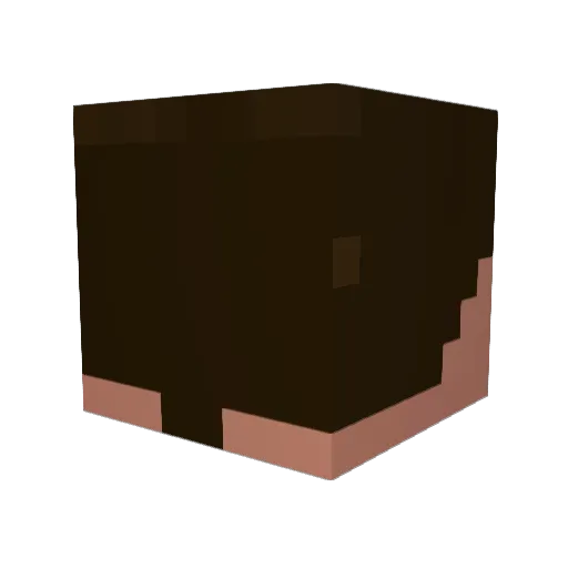 Shovenz Minecraft avatar head, 3D render