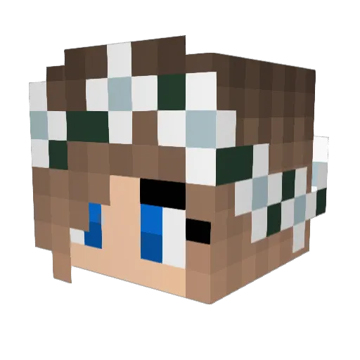 ShowNoMarcy Minecraft avatar head, 3D render