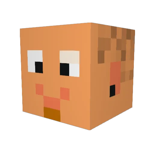 ShowSeth Minecraft avatar head, 3D render