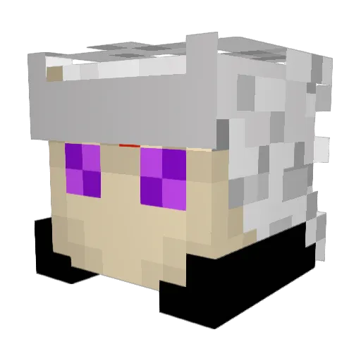 ShowStopper195 Minecraft avatar head, 3D render