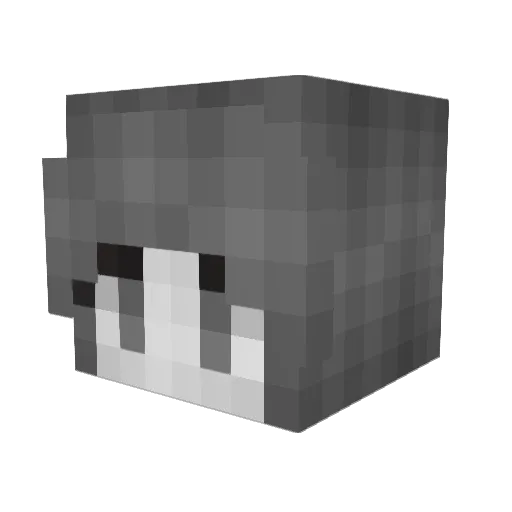 ShowerHour Minecraft avatar head, 3D render