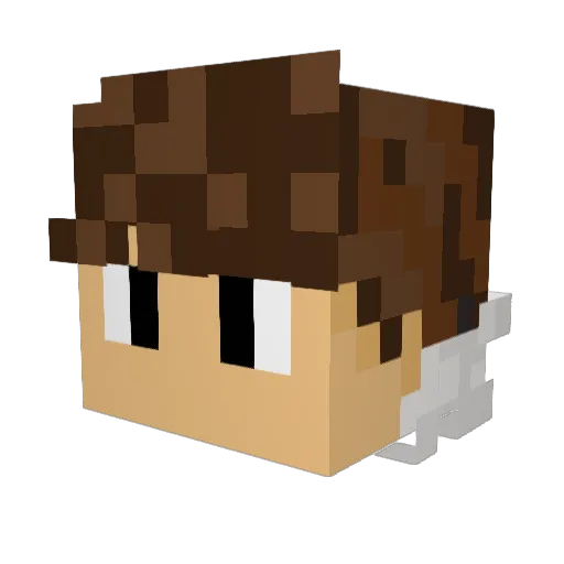Showertime69 Minecraft avatar head, 3D render